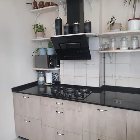 Piso Iwvaxi, Gallery House. Ourense. Apartment Ourense