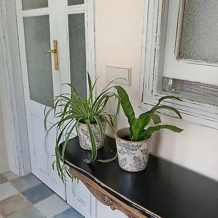 Apartment Piso Iwvaxi, Gallery House. Ourense. *