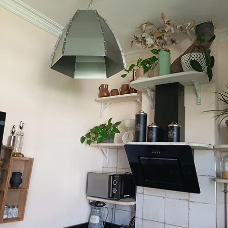 Piso Iwvaxi, Gallery House. Ourense. * Ourense